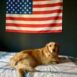 پرچم آمریکا