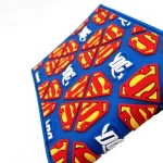 کیف پول سوپرمن 5