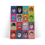 تابلو شاسی چهره ها Faces