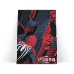 تابلو شاسی مرد عنکبوتی Spider-Man 6