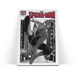 تابلو شاسی مرد عنکبوتی Spider-Man 8