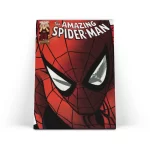 تابلو شاسی مرد عنکبوتی Spider-Man 11