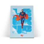 تابلو شاسی سوپرمن Superman 3