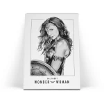 تابلو شاسی زن شگفت انگیز Wonder Woman 3