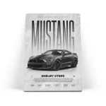 تابلو شاسی ماشین اسپرت فورد موستانگ مدل 3