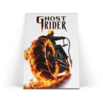 تابلو شاسی روح سوار Ghost Rider طرح 9